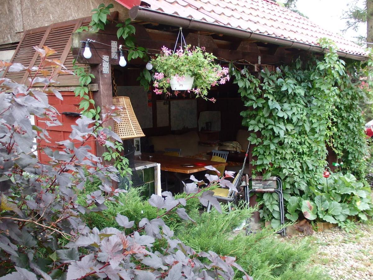 Krakowskie Mazury Gradzkie  Exteriör bild