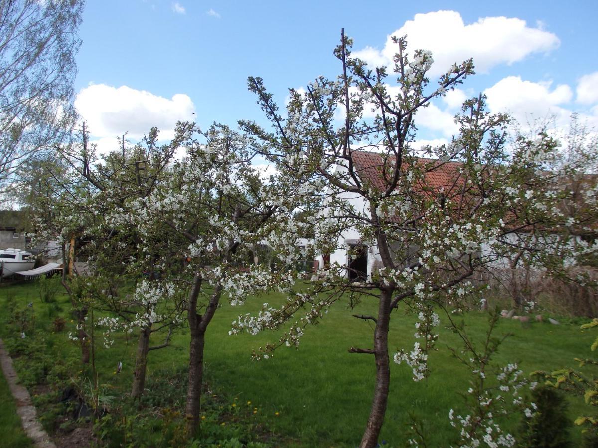 Krakowskie Mazury Gradzkie  Exteriör bild